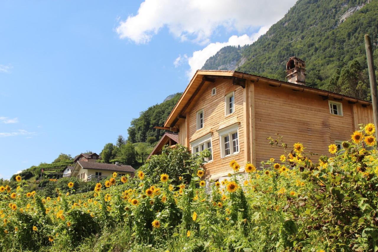 Haus Buenten Quinten ภายนอก รูปภาพ