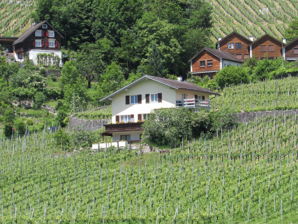 Haus Buenten Quinten ภายนอก รูปภาพ